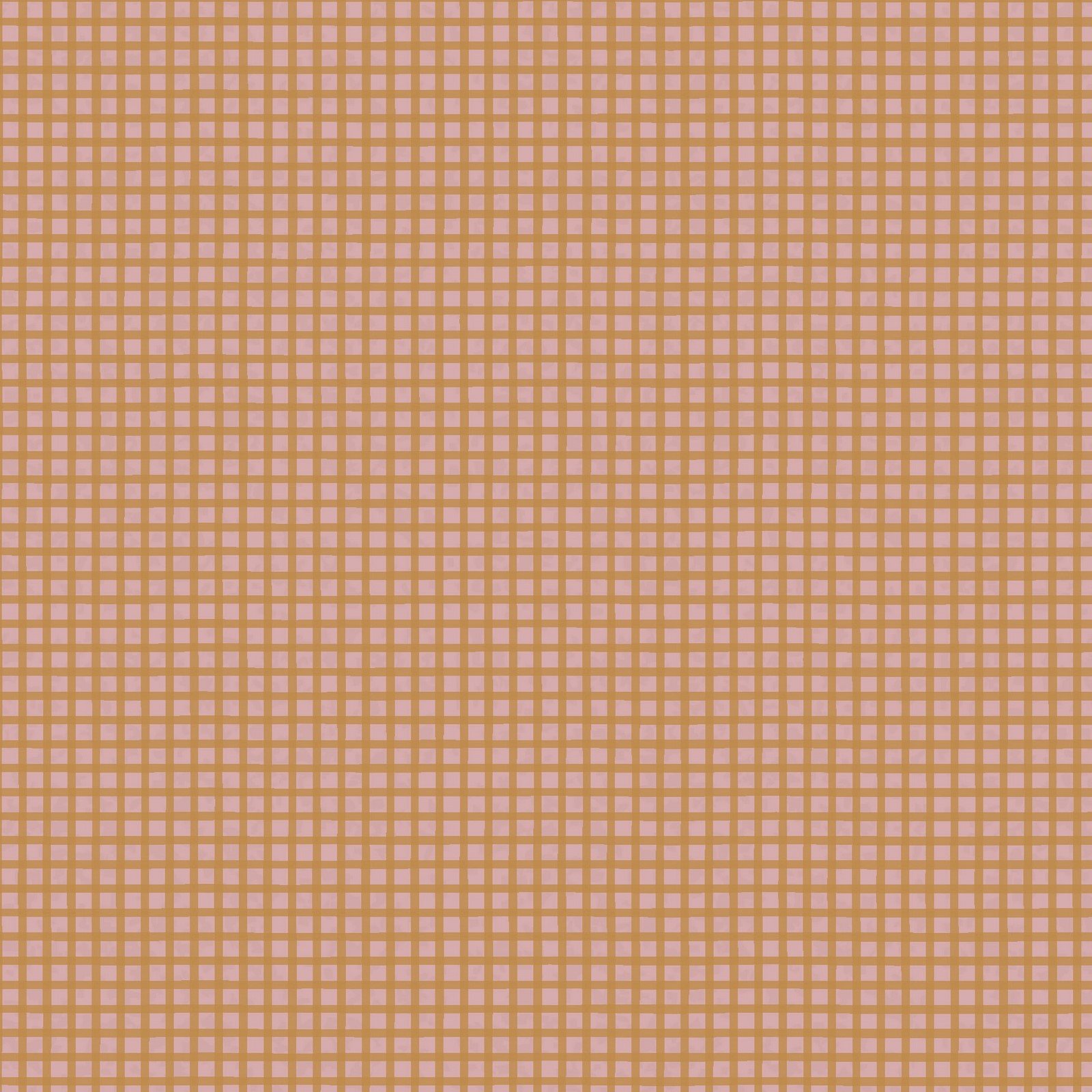 Good Boy & Kitty – Gingham Shrimp Fabric