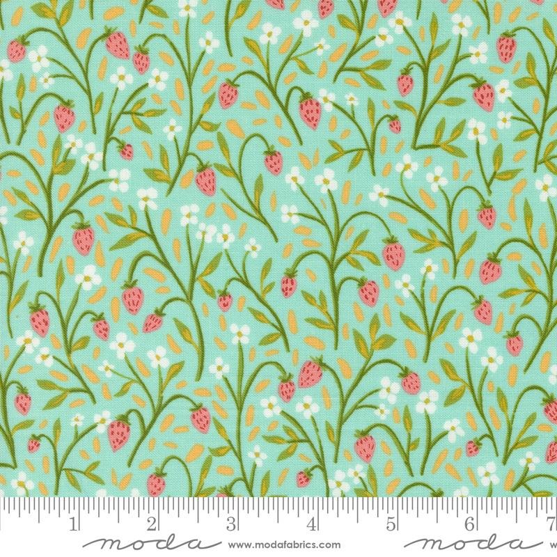 Strawberries on Aqua Fabric