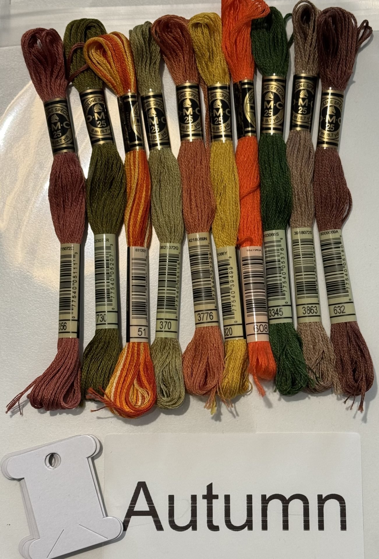 Coordinating DMC Thread Pack – Autumn