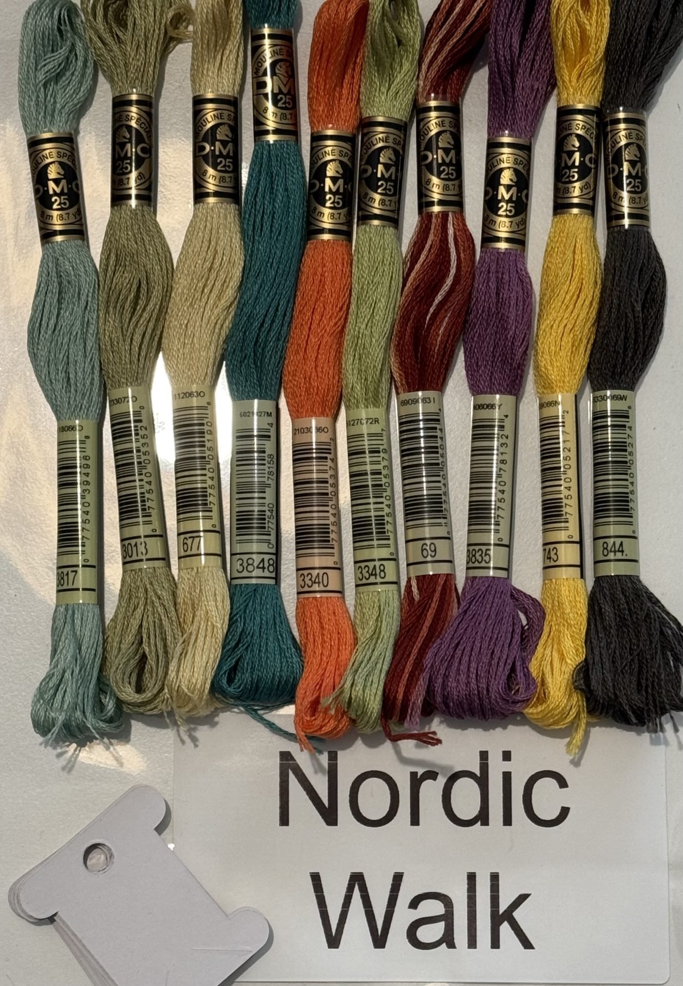 Coordinating DMC Thread Pack – Nordic Walk