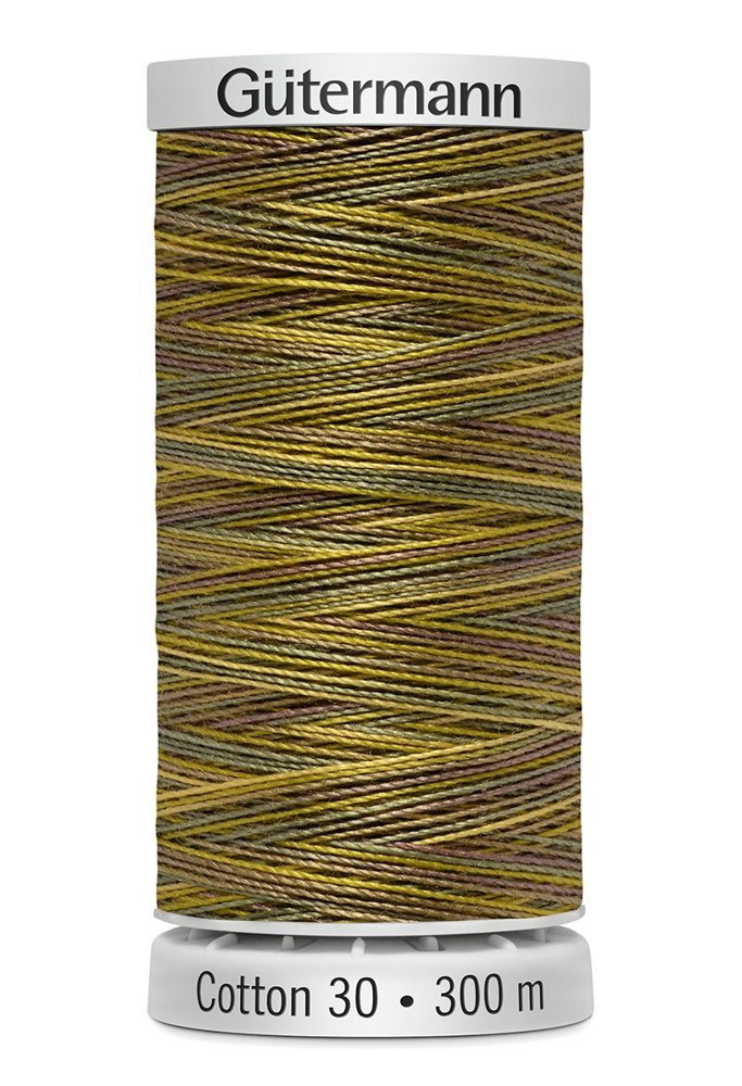 Gutermann 30 Variegated Thread 300m - 4009