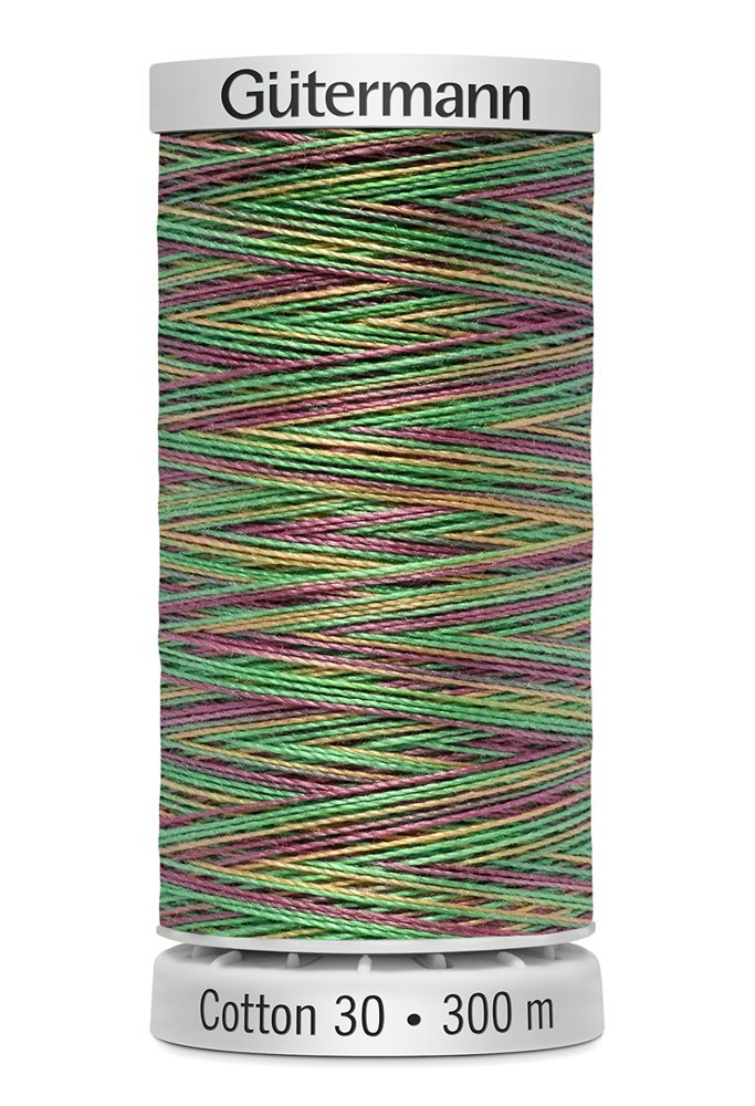 Gutermann 30 Variegated Thread 300m - 4041