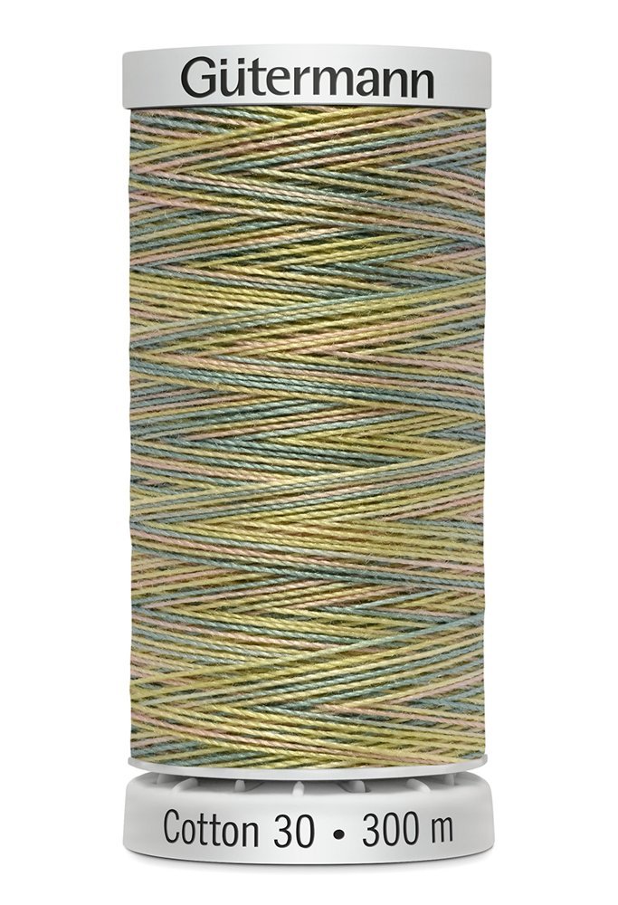 Gutermann 30 Variegated Thread 300m - 4101