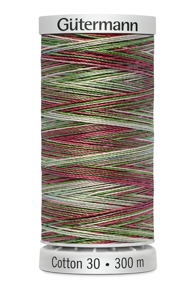 Gutermann 30 Variegated Thread 300m - 4104