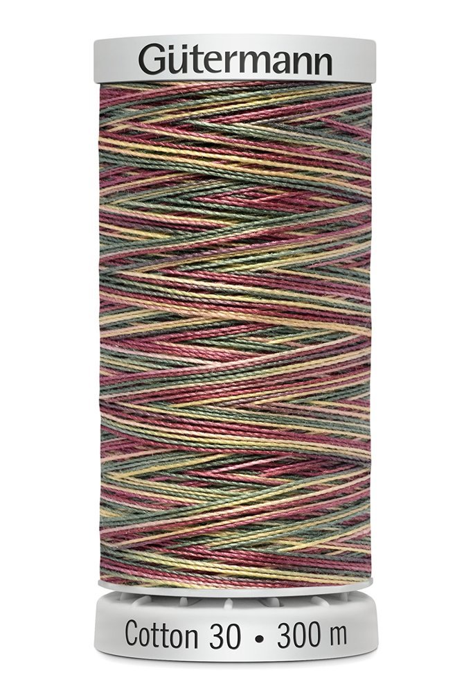 Gutermann 30 Variegated Thread 300m - 4112