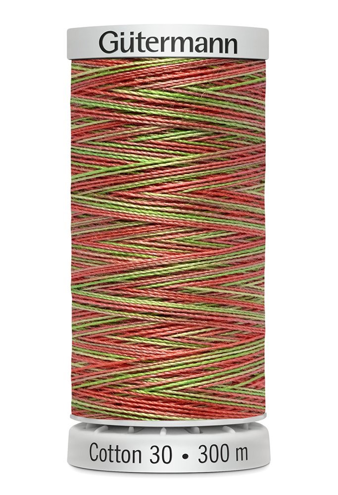Gutermann 30 Variegated Thread 300m - 4122